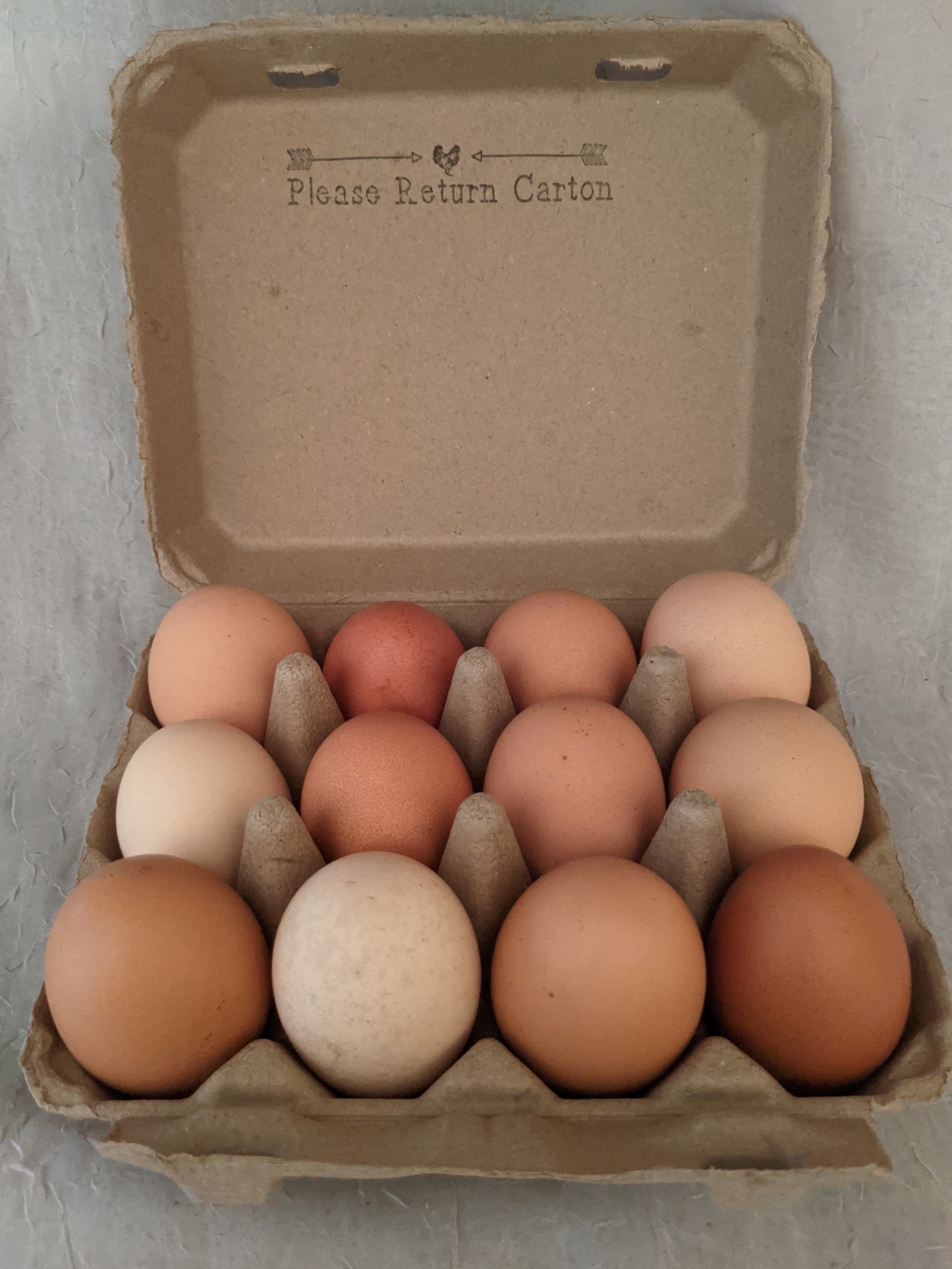 Pastured Poultry Raising Pastured Eggs, Poultry & Piglets in
