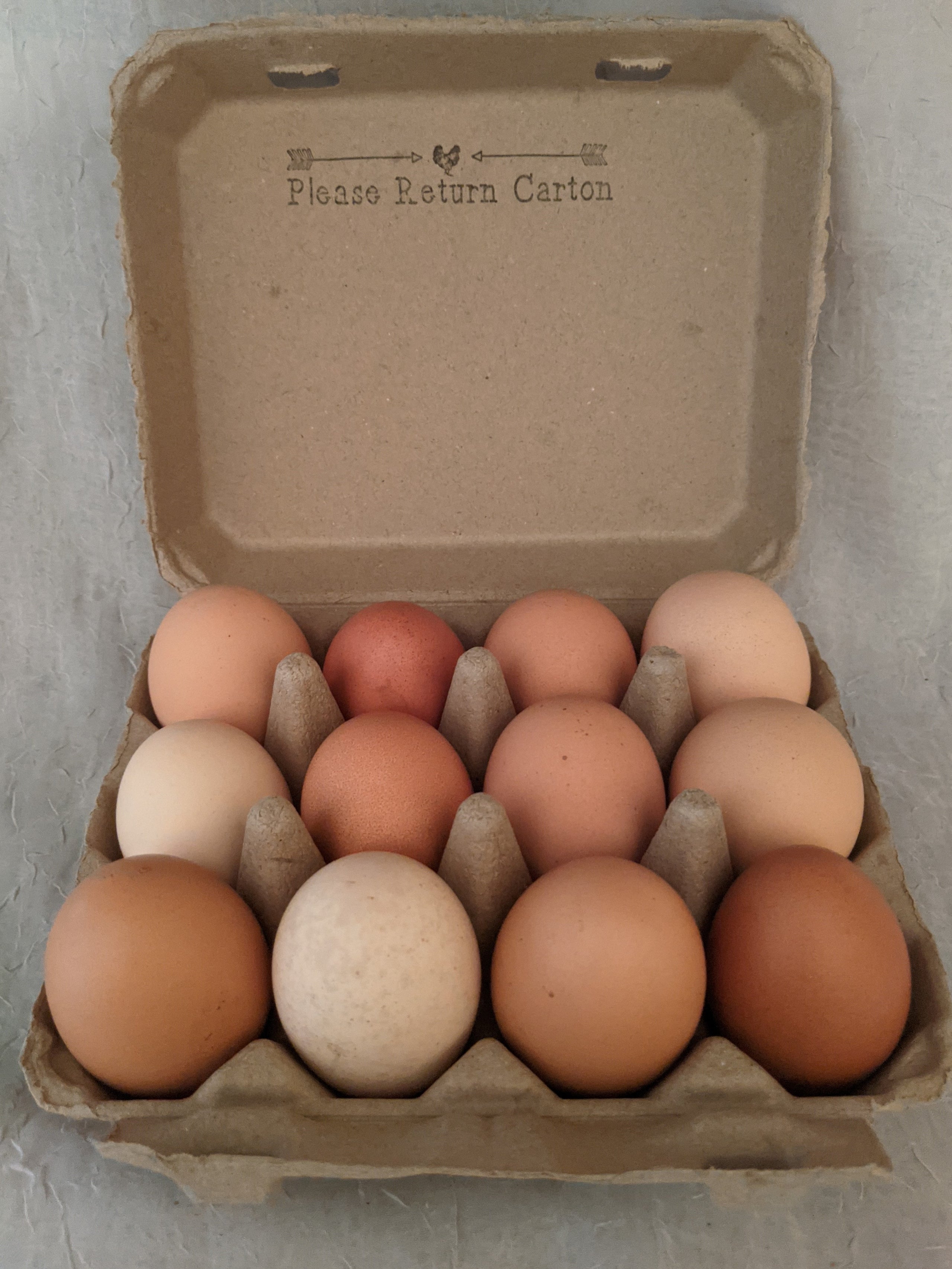 See and taste the difference with our eggs from our pasture raised